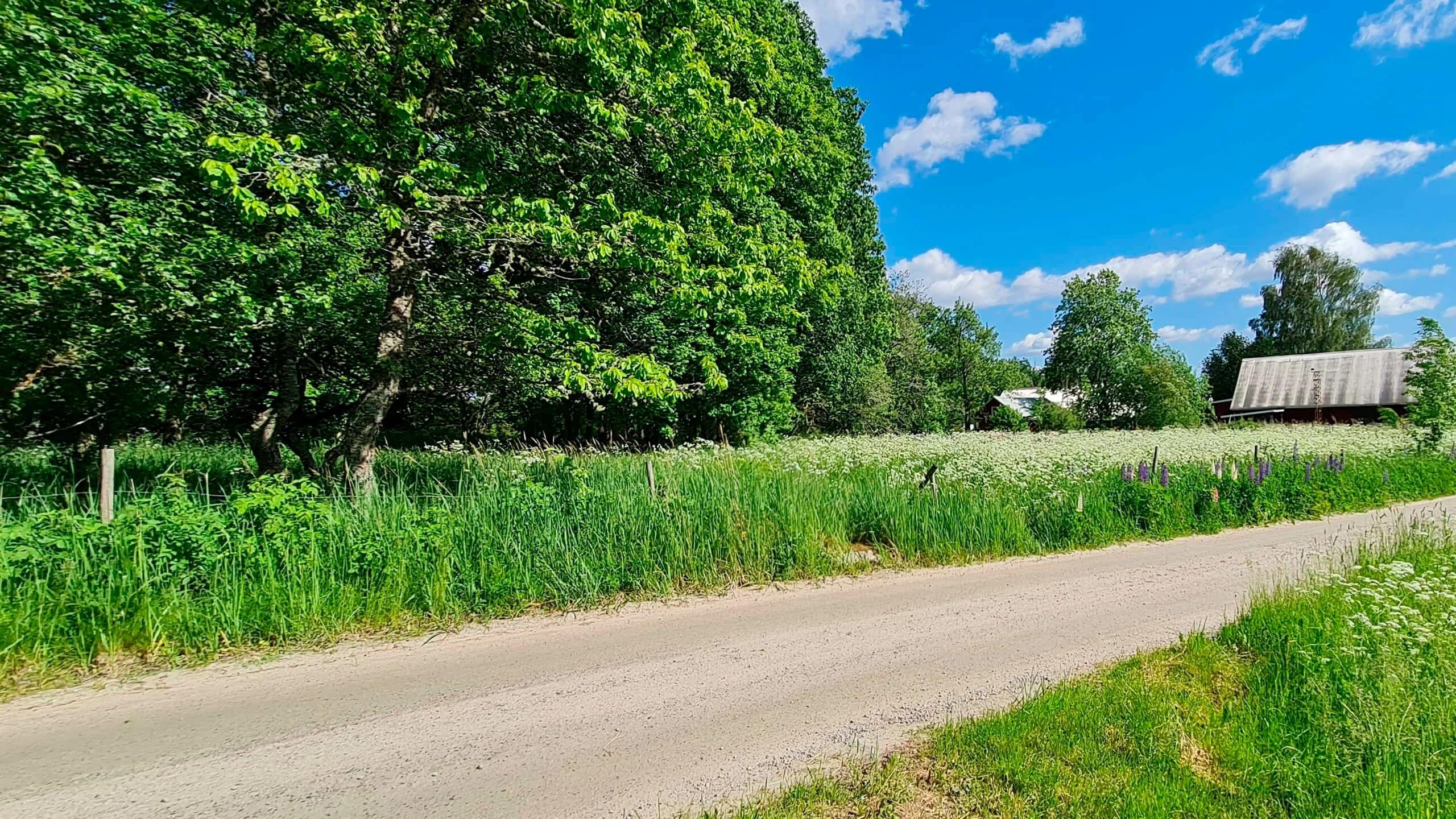 movehome lediga tomter växjö humlaryd