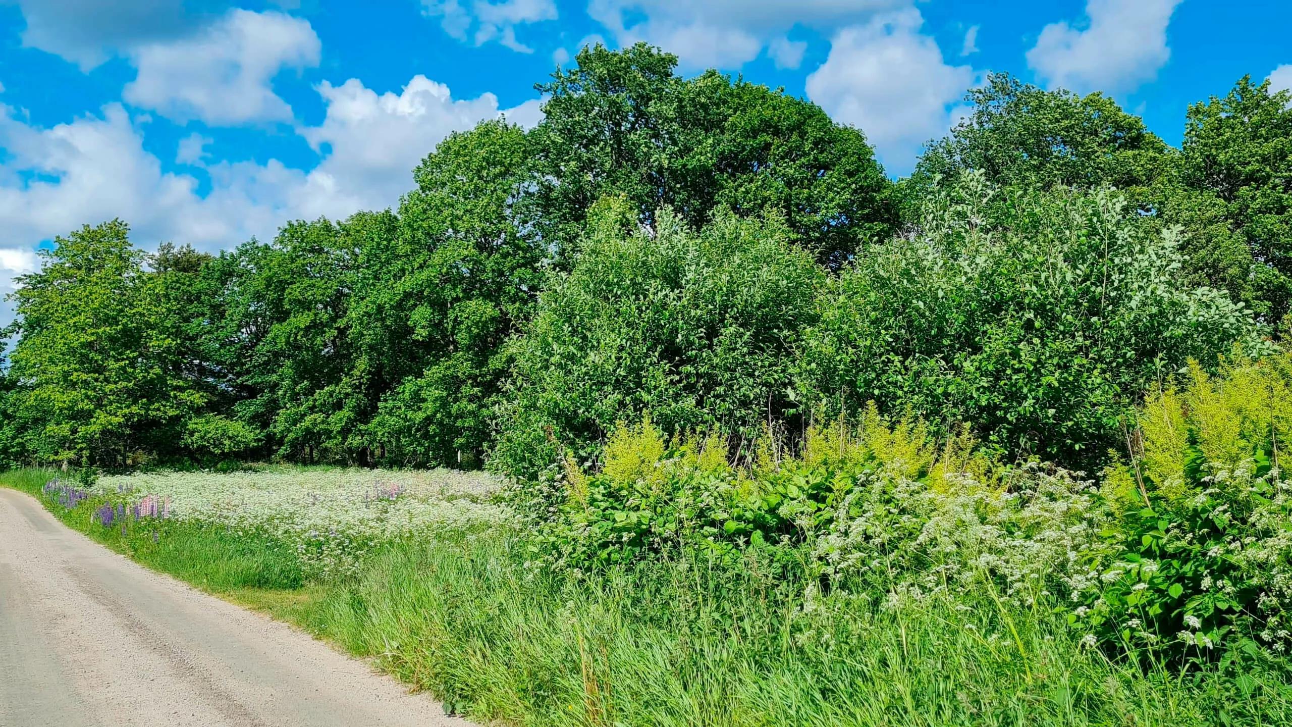 movehome lediga tomter växjö humlaryd