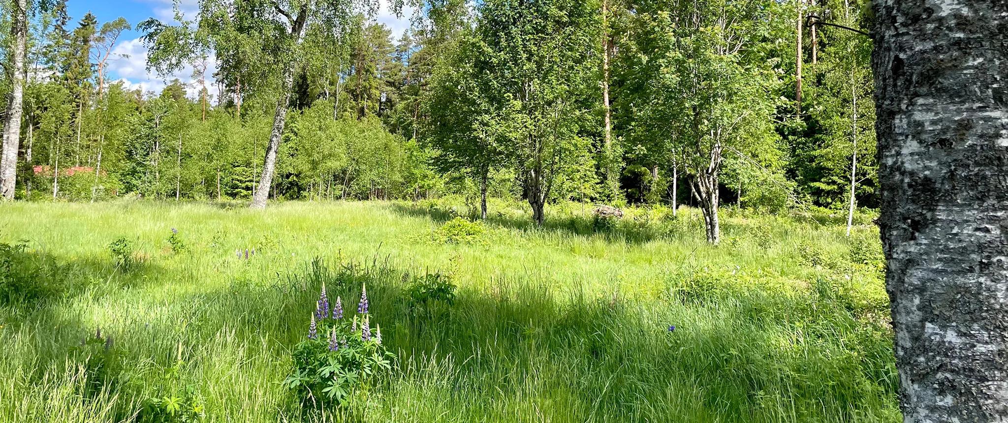 movehome lediga tomter vänersborg väne-ryr