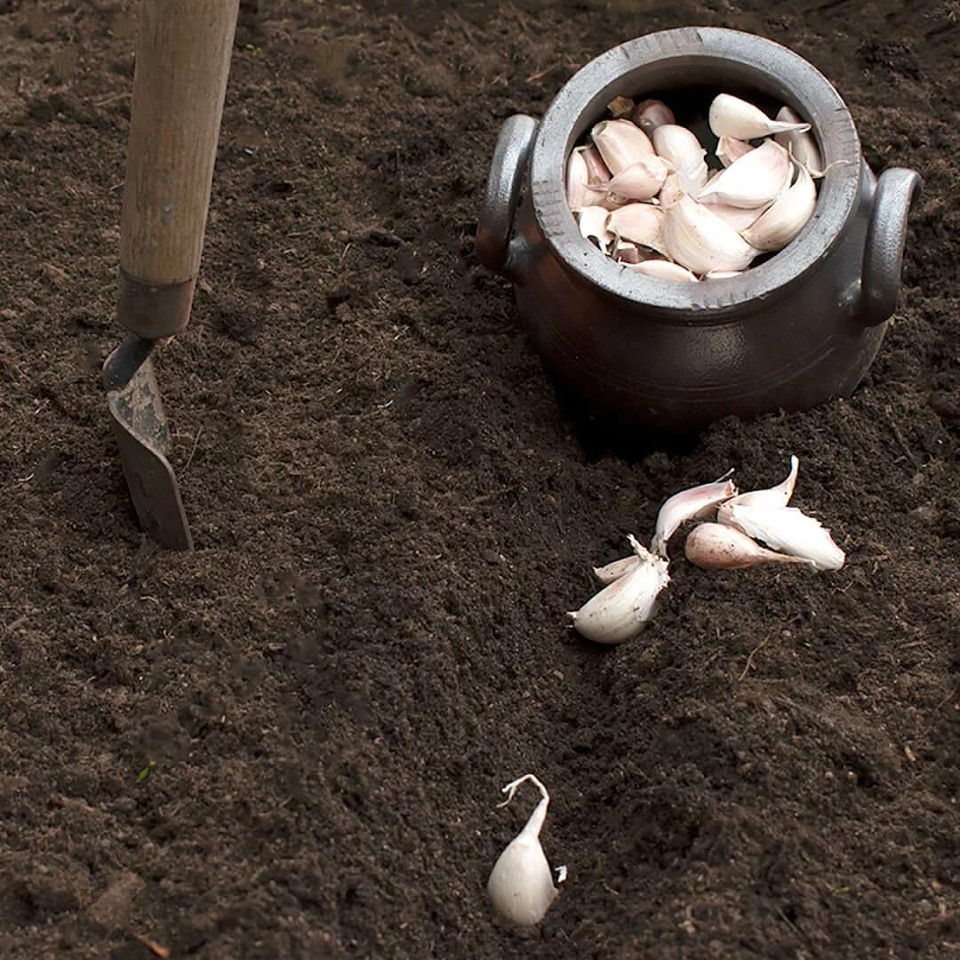 utemiljö och trädgård-movehome-inspiration