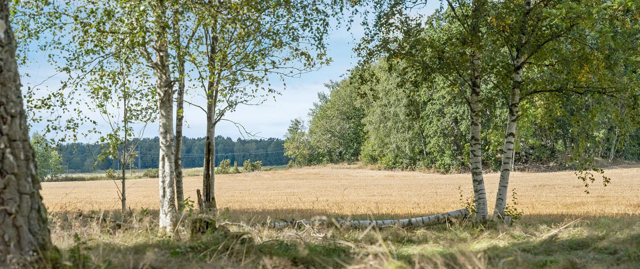 movehome lediga tomter trollhättan gärdhem